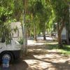 Camper parcheggiati tra alberi in un campeggio ombreggiato.