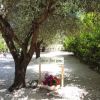 Area ombreggiata con albero e cartello 