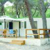 Casa mobile in legno con terrazza immersa nella pineta.
