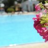 Fiori rosa in primo piano accanto a una piscina.