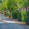 Viale con alberi e cespugli su entrambi i lati.